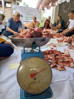 qurban